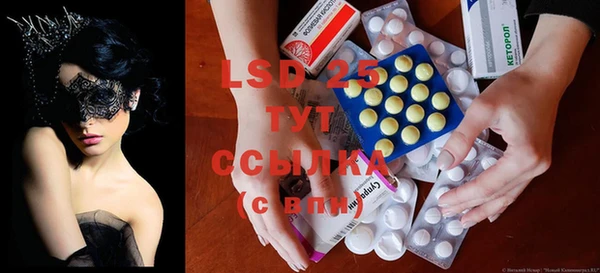 ГАЛЛЮЦИНОГЕННЫЕ ГРИБЫ Инсар