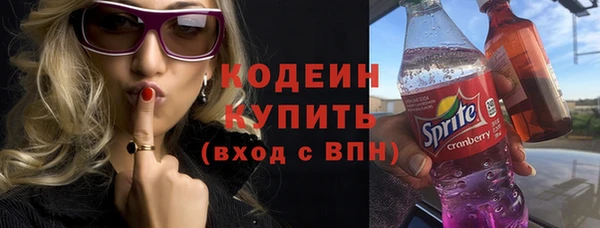 мдпв Каменка