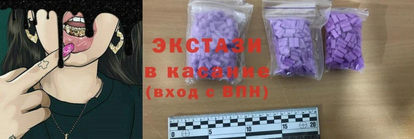 мдпв Каменка