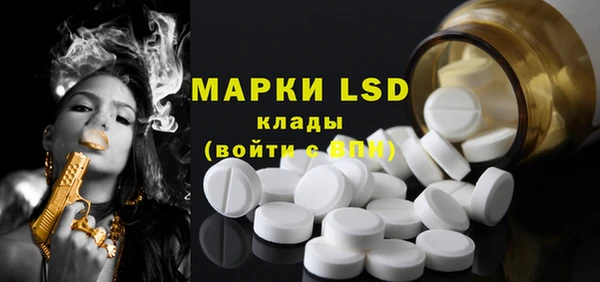 мдпв Каменка