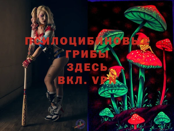 мяу мяу мука Билибино