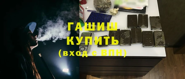 мдпв Каменка