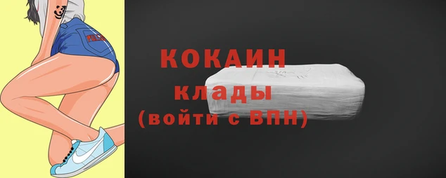 мдпв Каменка