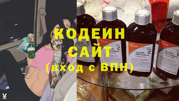 мдпв Каменка