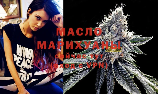 мдпв Каменка