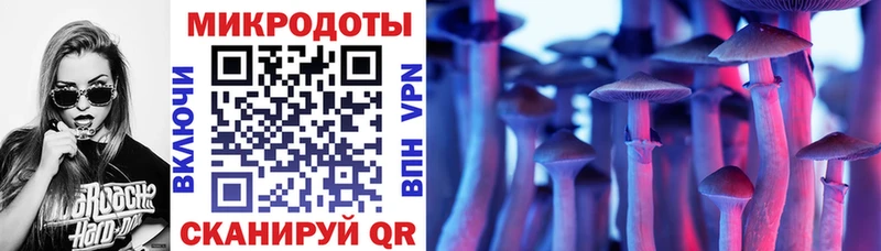 Псилоцибиновые грибы Cubensis Белоозёрский